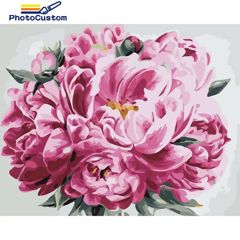 

PhotoCustom Pink peony Flowers Pictures By Number Kits Handpainted DIY 40x50cm Painting By Number Flowers Home Decor
