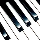 1 Набор7 шт. практичные клавиши для пианино, замена клавиш для пианино, вертикальные аксессуары для пианино
