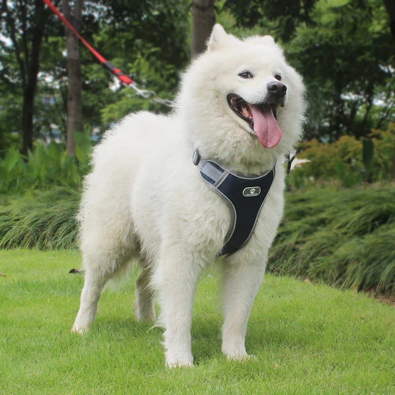 

S-XL Vest Harness Leash Adjustable Mesh Vest Dog Harness Collar Chest Strap Leash Harnesses With Traction Rope