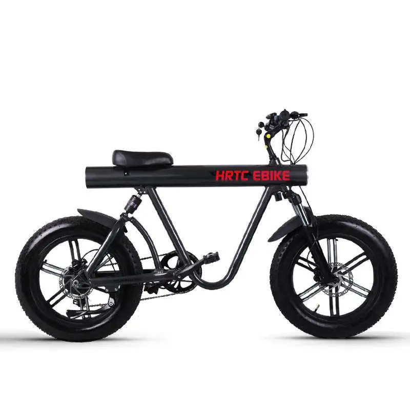 Billig 20 Inch High Speed Elektrische Schnee Bike 2 Räder Elektrische Fahrräder Große Fett Reifen Offroad Erwachsene Elektrische Fahrrad 750W 48V 60 KM/H