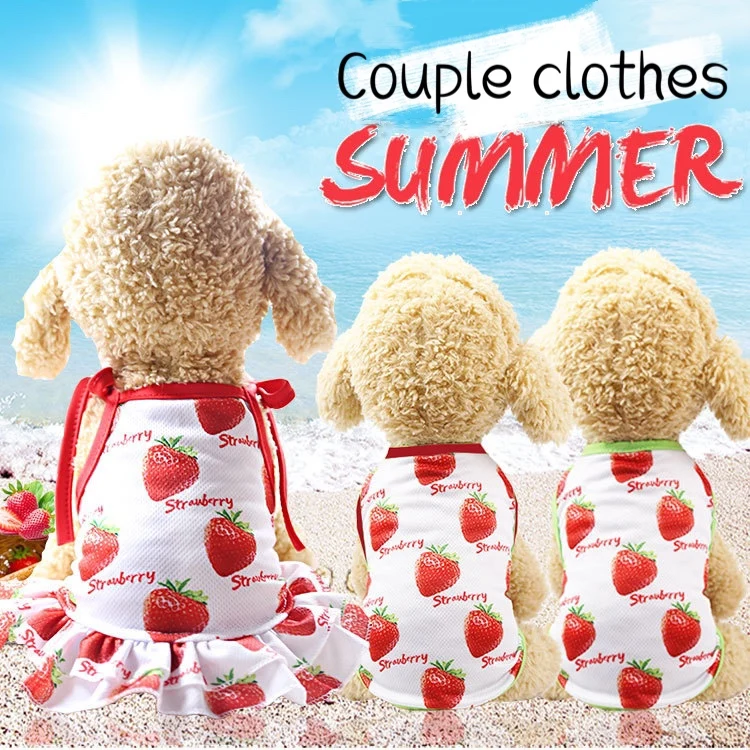Милая юбка с клубничным узором для домашних животных Пара моделей платье щенков