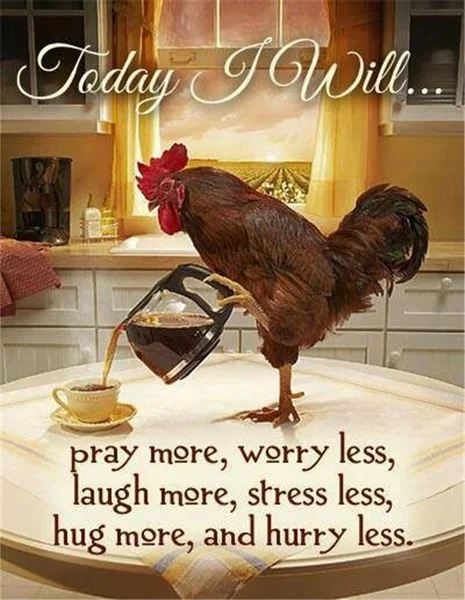 

Vintage Rooster Today I Will...pry More,worry Less Metal Tin Sign 8x12 Inch Retro Home Kitchen Farm Bar Pub Cafe Wall Decor