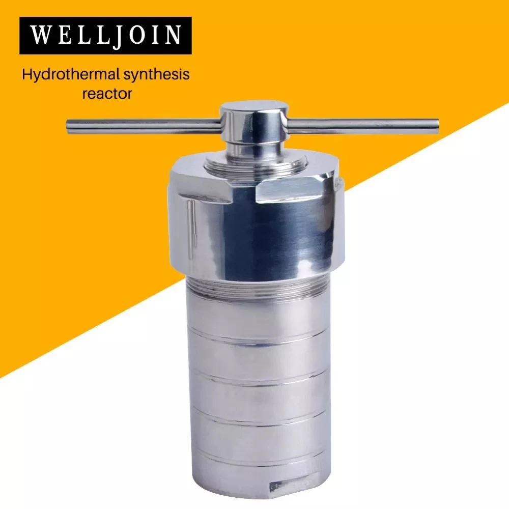 

Vessel-kettle Hydrothermal Autoclave Reactor with PTFE Chamber Hydrothermal Synthesis 50ml