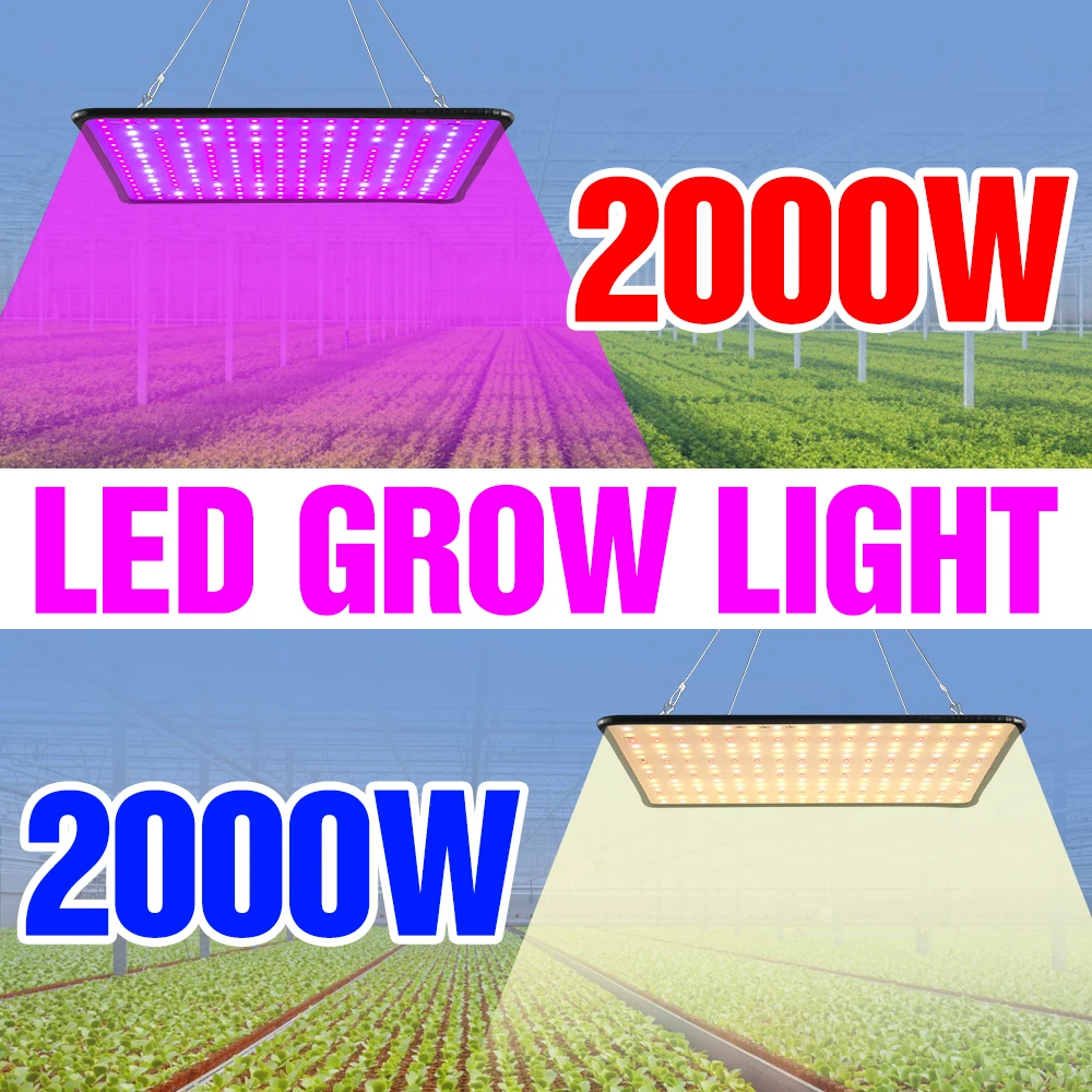 

Full Spectrum Plants Growth Lamp Indoor Hydroponics Flower Seed 2000W High Power Grow Light 220V LED Phyto Lamps EU UK US Plug