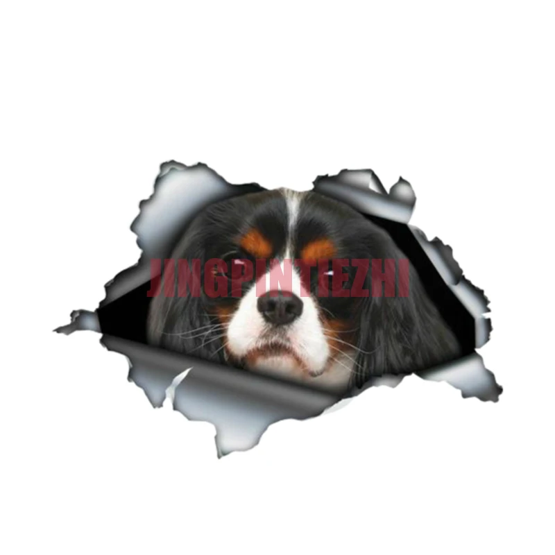 

Car Stickers Vinyl Motorcycle Decal Car Window Body Decorative Cavalier King Charles Personalized Personality Car Stickers