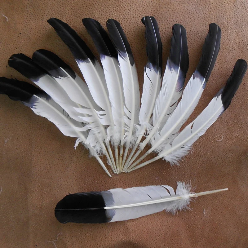 

50Pcs/Lot Turkey Wing Quill Feather Black Tipped Eagle Feathers for Crafts 10-12"/25-30cm Wedding Feathers Decoration DIY Plumas