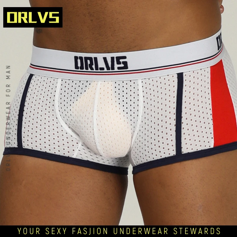 

ORLVS Men Underwear Gay Boxer Mesh Boxers Breathable Man Cueca Male Panties Gay Boxershort Men's Clothing Homme Underpants OR193