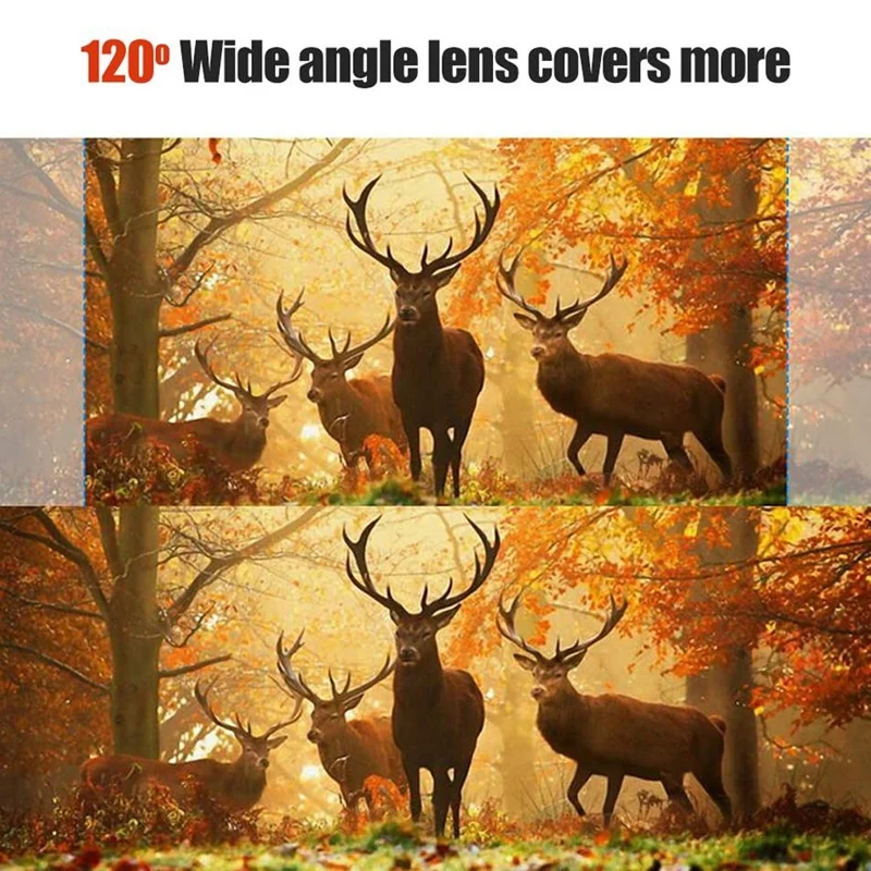 

Camera 8GB TF Card 12MP 1080P Infrared Night Vision Wildlife Scouting