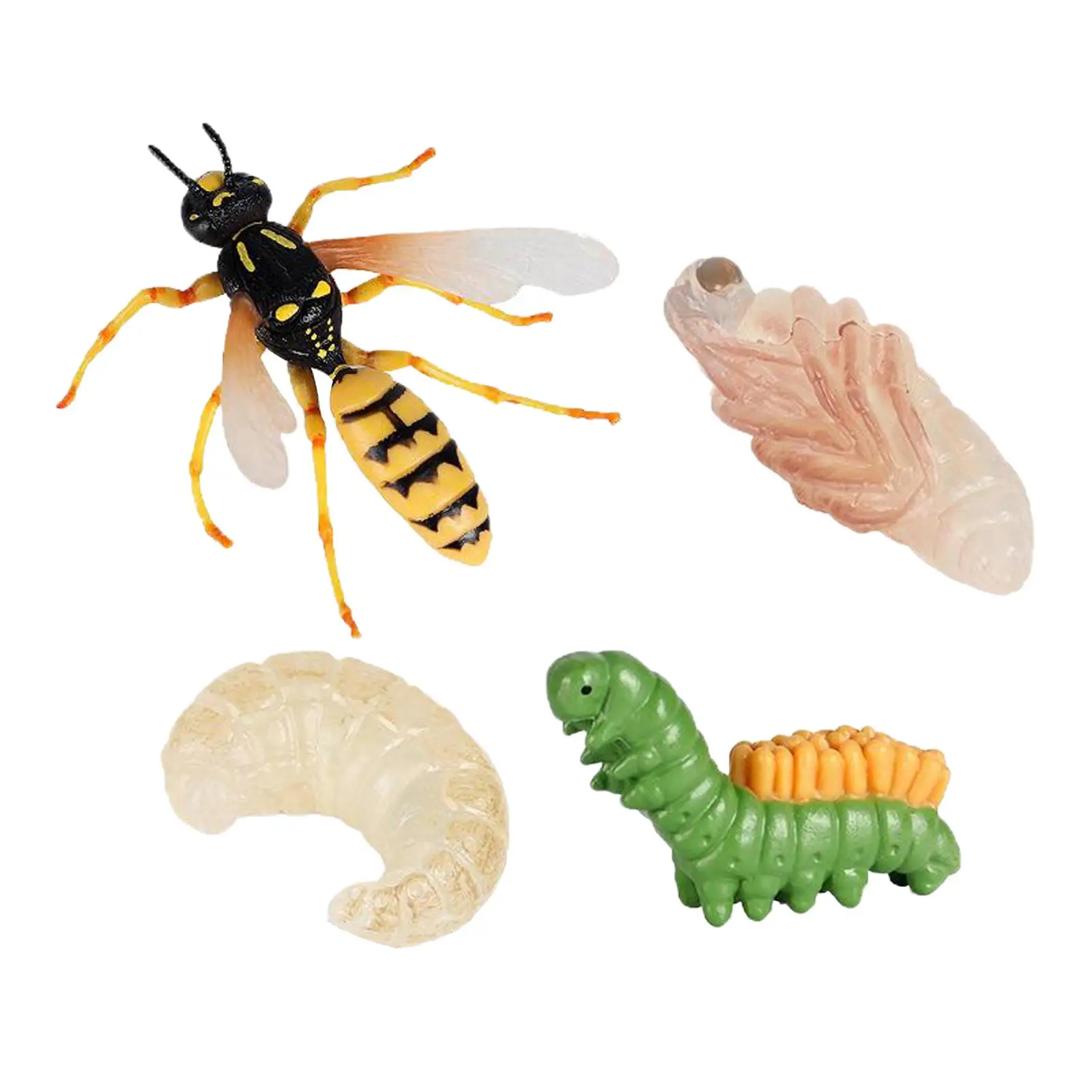 

Insect Wasp Life Cycle Wild Animal Bug Growth Cycle Teaching Plastic Toy
