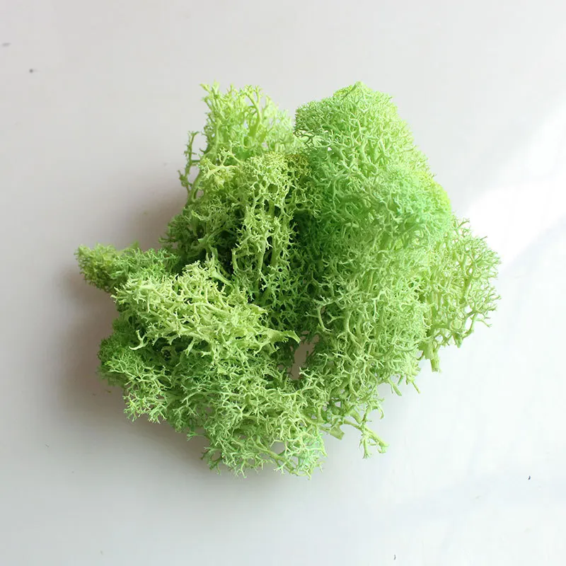 Grass-green Йо Чо натуральный норвежский олень мох консервированный сушеный ремесло цветок тычинки украшение свадебное украшение для сказочного сада декор мускус - Цвет: Grass-green