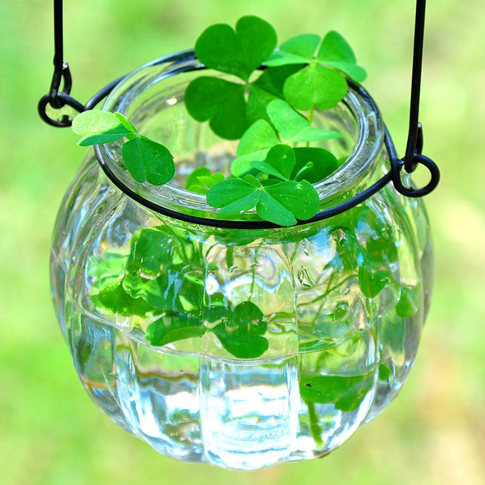 Стекло ящик для комнатных растений прозрачный тыквы Форма ваза гидропоники