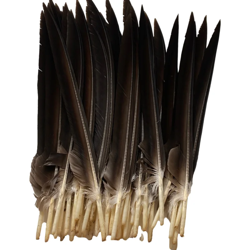 

Hot Sale 100pcs/lot Beautiful Eagle Feathers 45-50cm/18-20inches Jewelry Christmas for Wedding Dancers Feathers for Crafts