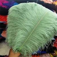 100pcslot high quality ostrich feather for dancers 40 45cm16 18inch accessories party celebration feathers for crafts