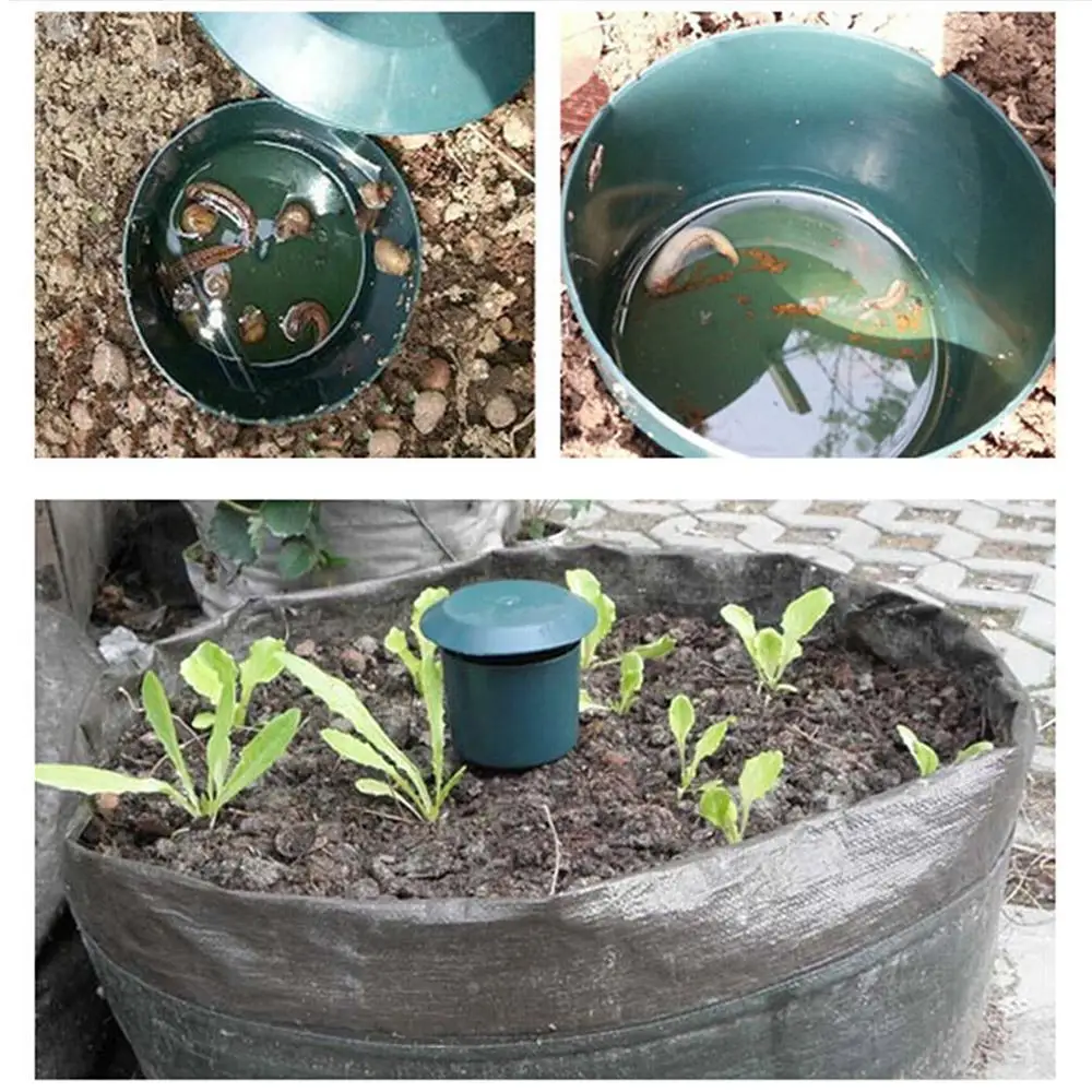 Ловушка для ногтей маленькая рыбка аквариум водный пруд пресноводная вода еда