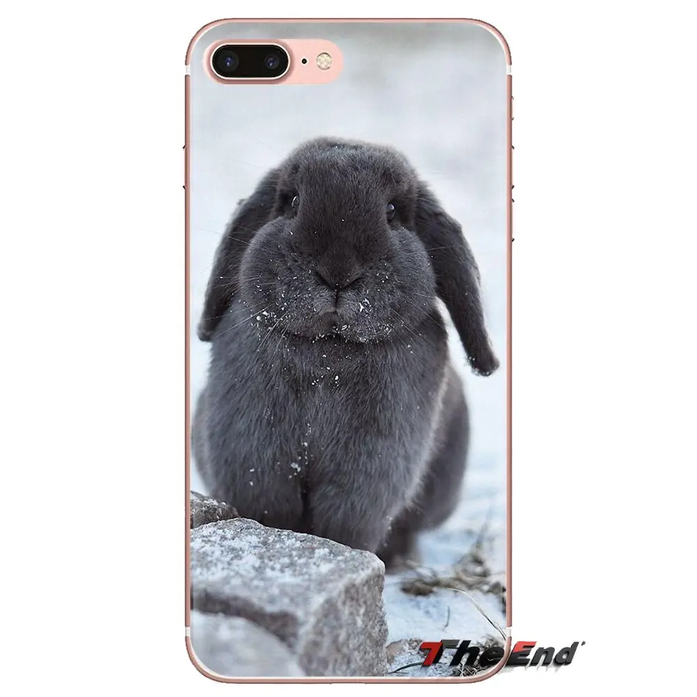 Для samsung Galaxy S2 S3 S4 S5 MINI S6 S7 edge S8 S9 Plus Note 2 3 4 5 8 Coque Fundas мягкий чехол Милый мистер коала