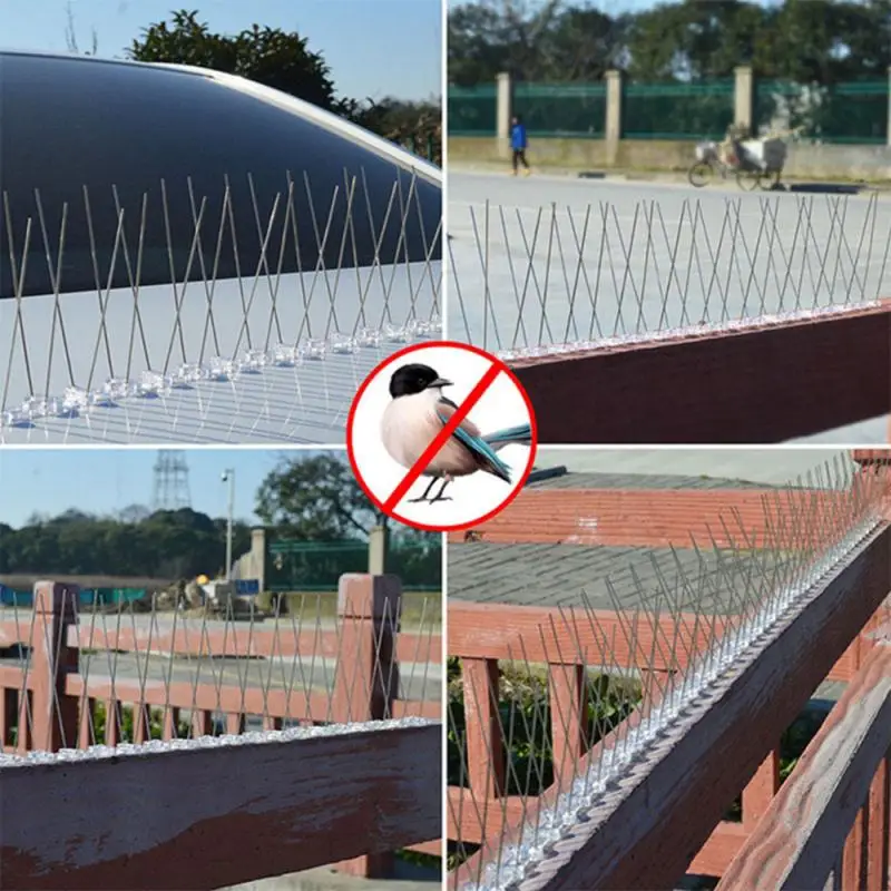 

Stainless Steel Sturdy Bird Spikes Kit Bird Control Spikes For Home Towers Roofs