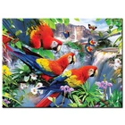 Полный 5D Diy Daimond картина 