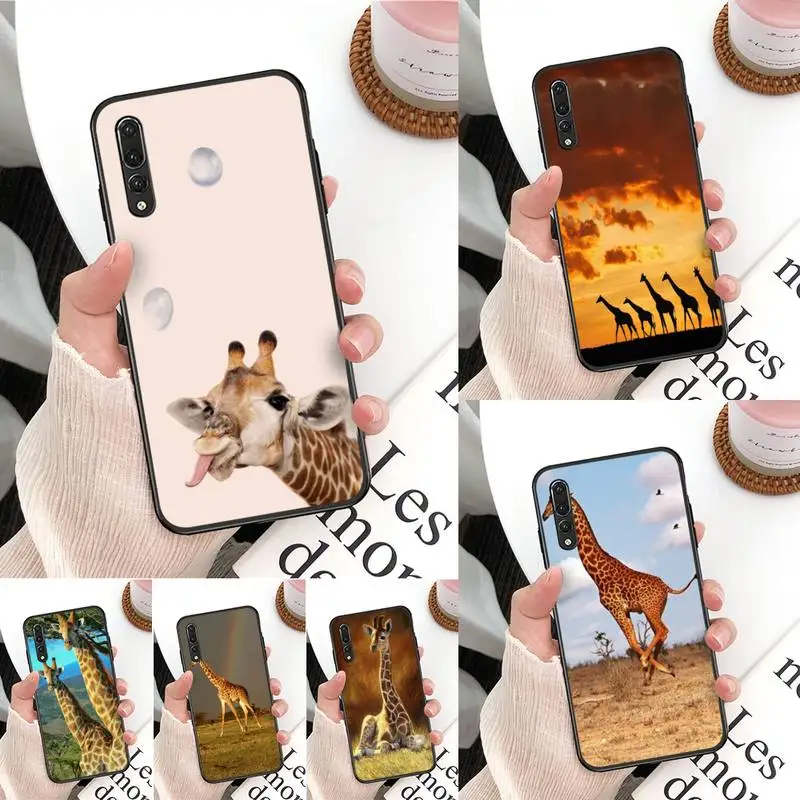 

giraffe Phone Case For Huawei Mate 30 Pro P20 P30 P40 pro lite Y7 Y6 2019 case for Honor 8X 8A 10 20lite 10i