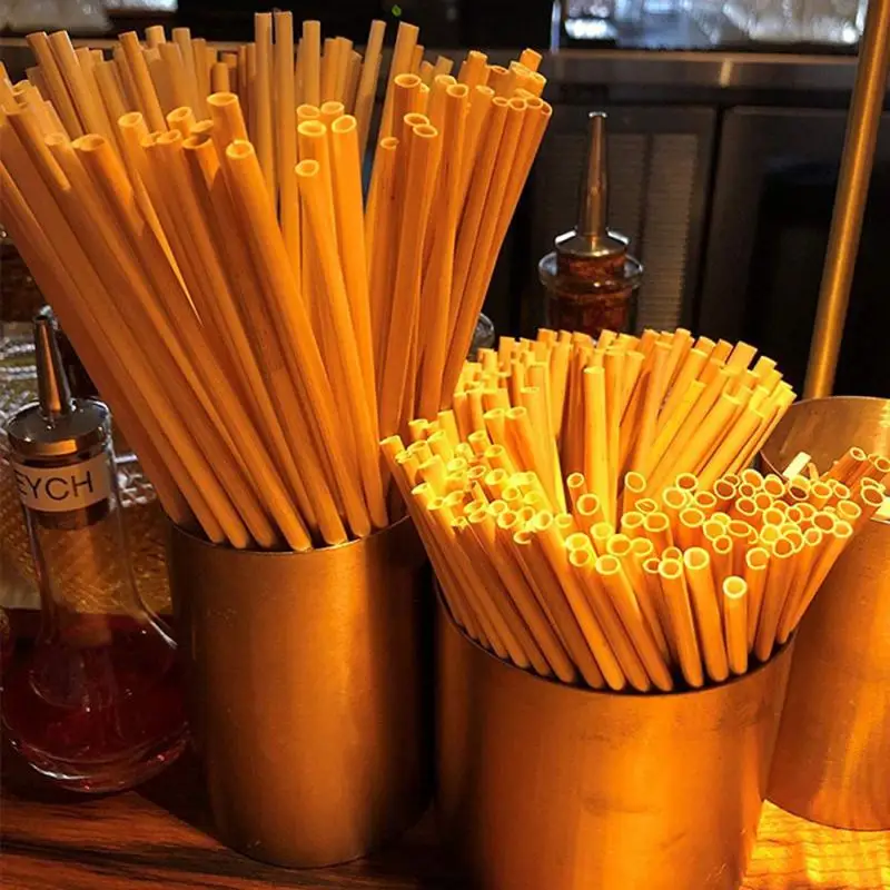 

100 Pcs / Pack Natural Wood Reusable Straws Organic Bamboo Drinking Straws Bar Straws Birthday Party Wedding Bar Tools