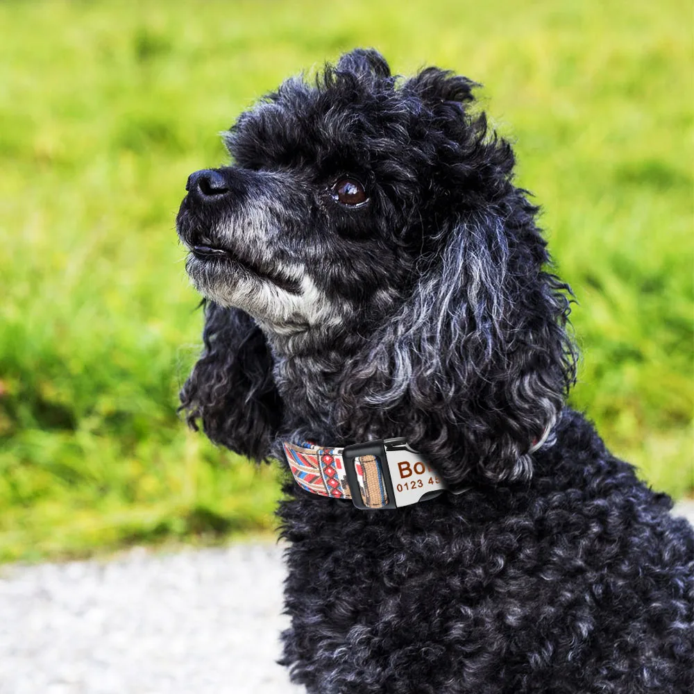 Регулируемый персональный собачий ошейник AiruiDog именной на заказ с гравировкой