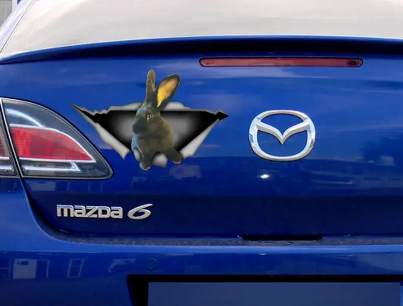 

2021 decalque de Minuit