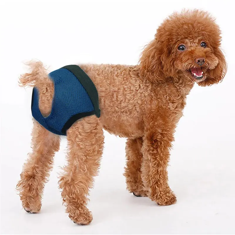 Girl Pet Diapers Dog Puppy Pants Pet Underwe Dog Physiological Diaper Dogs Sanitary Panties Shorts Pet Accessories images - 6