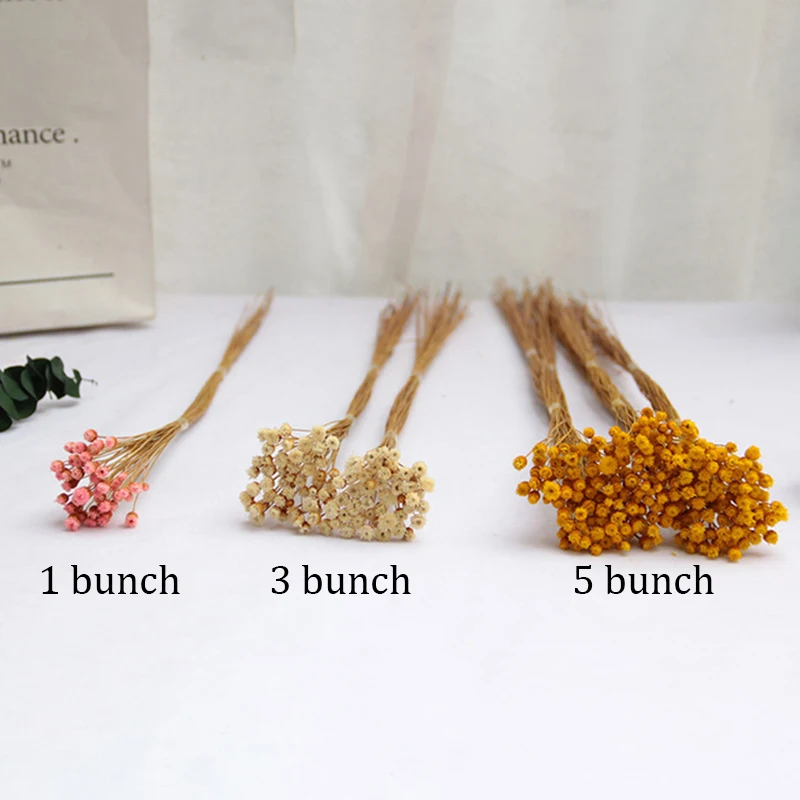 50pcs Natural Simulation Flowers Imported Ins Dried Flower Bouquet Real Happy Shooting Props Sticky Material Decorative | Дом и сад