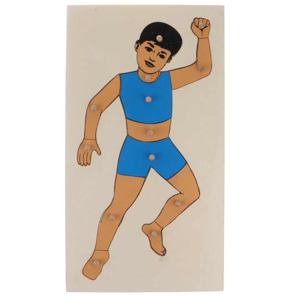 

Деревянный пазл-тело для мальчиков, пазл, дошкольные образовательные игрушки для детей