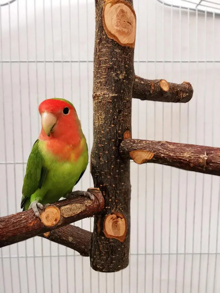 

Wooden Bird Stand Perch Bird Parrot Natural Stand Stick Pole for Parrot Small Parakeet Cockatiel Macaw Parrot Love Birds Finch
