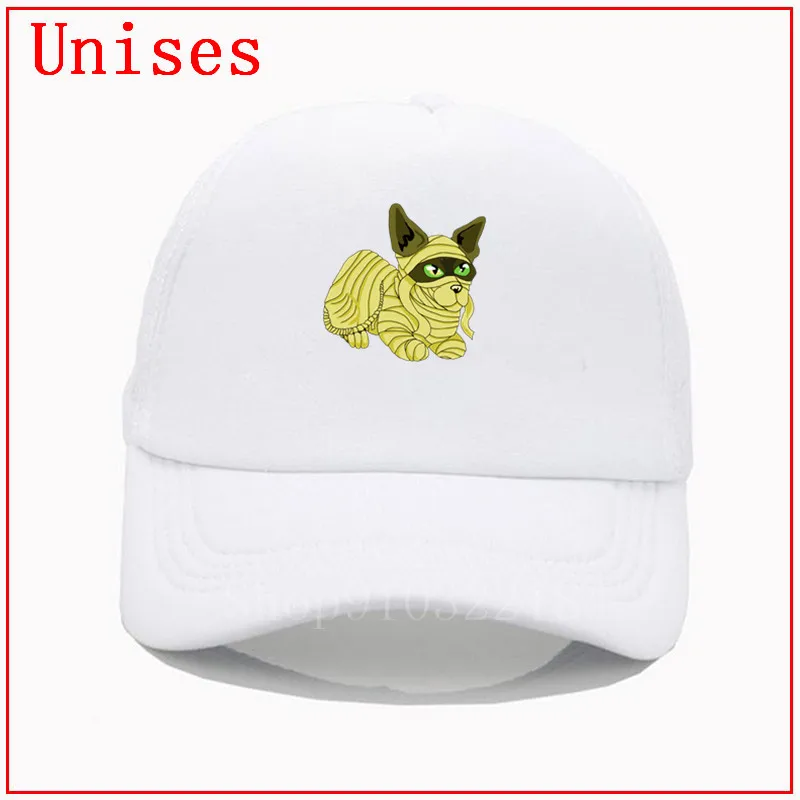 Бестселлер: шапки для женщин и мужчин в виде кота египетской мамы модные 2020 |