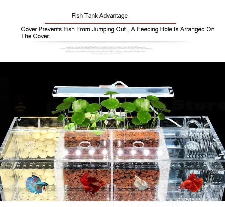 Betta аквариум Гуппи разведение инкубации изолирующая коробка акриловая специальная группа ряд цилиндр живой Рабочий стол экологическое творчество
