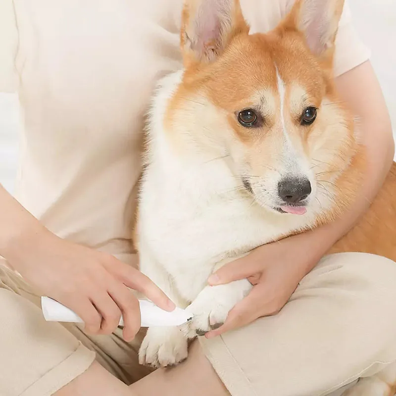 

2021 Youpin Pets Hair Trimmer Electrical Shearing Cutter Dog Local Shaver Cat Haircut Paw Shaver Clipper Grooming Tool for Pets