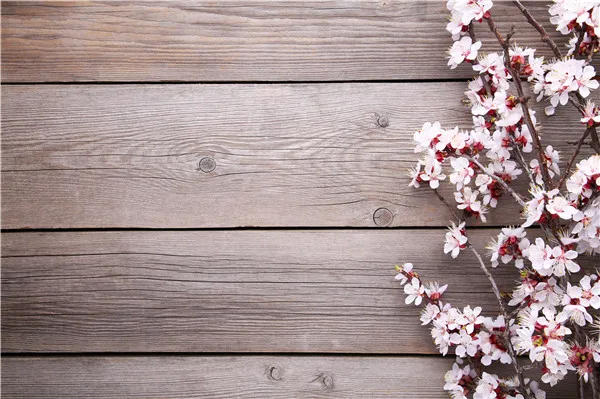 

SHUOZHIKE Vinyl Custom Photography Backdrops Props Flower and Wood Planks theme Photo Studio Background 20212-45