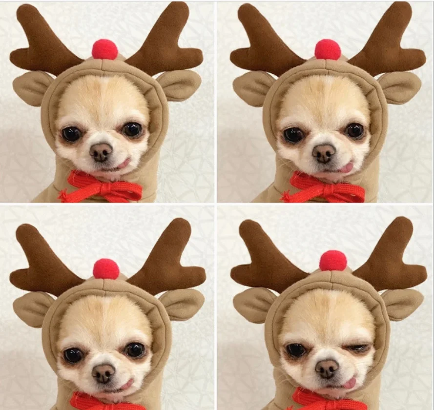 

NEW Cartoon Cute Dog Hoodie Vest Fruit style Winter Dog Cat Pug clothes coat For small medium Chihuahua Yorkshire Puppy outfit