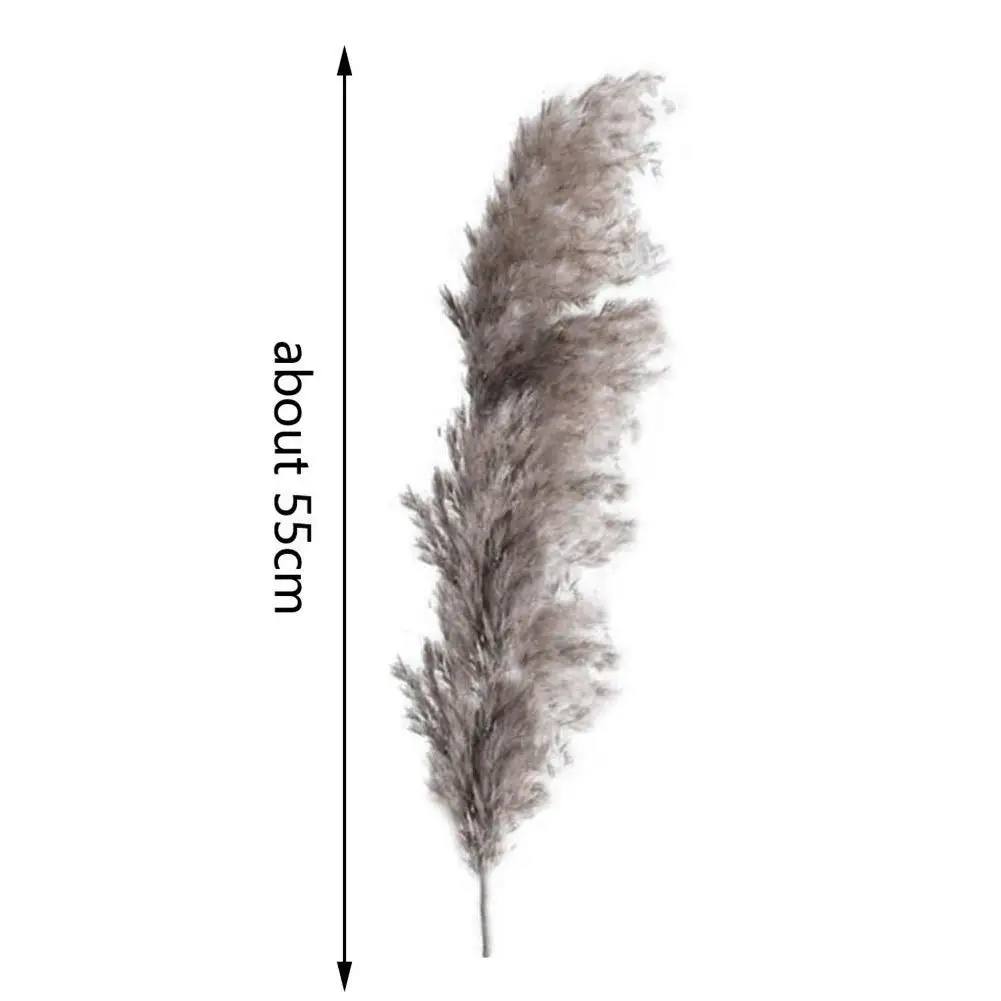 

5pcs Natural Reed Dried Flowers Pampas Grass DIY Handmade Valentine'S Day Wedding Party Home Decoration Bouquet Flower