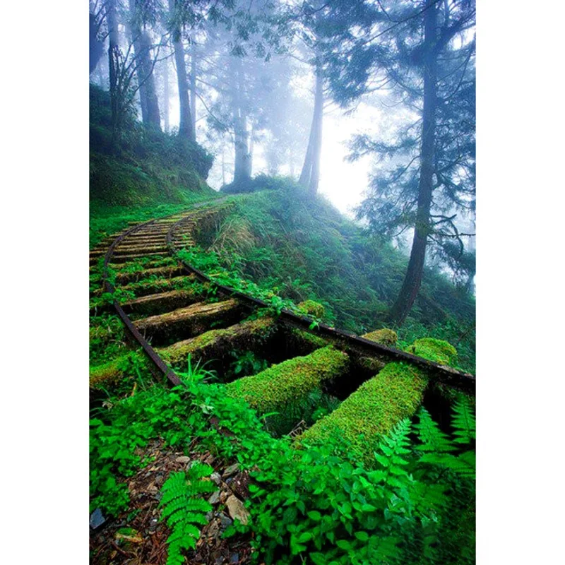 

Алмазная 5d-картина «деревья дорога», вышивка крестиком с полными квадратными/круглыми стразами, домашний декор