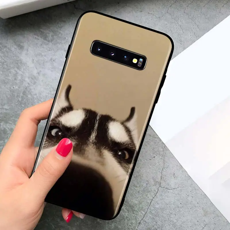

Cute Husky Dog for Samsung Galaxy S21 Ultra Plus Note 20 10 9 8 S10 S9 S8 S7 S6 Edge Plus Black Phone Case