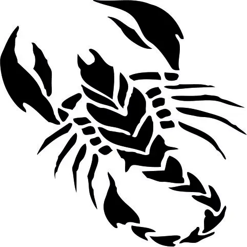 

Scorpion car stickers cover scratches personalized diesel car accessories decoration creative fun for all cars PVC