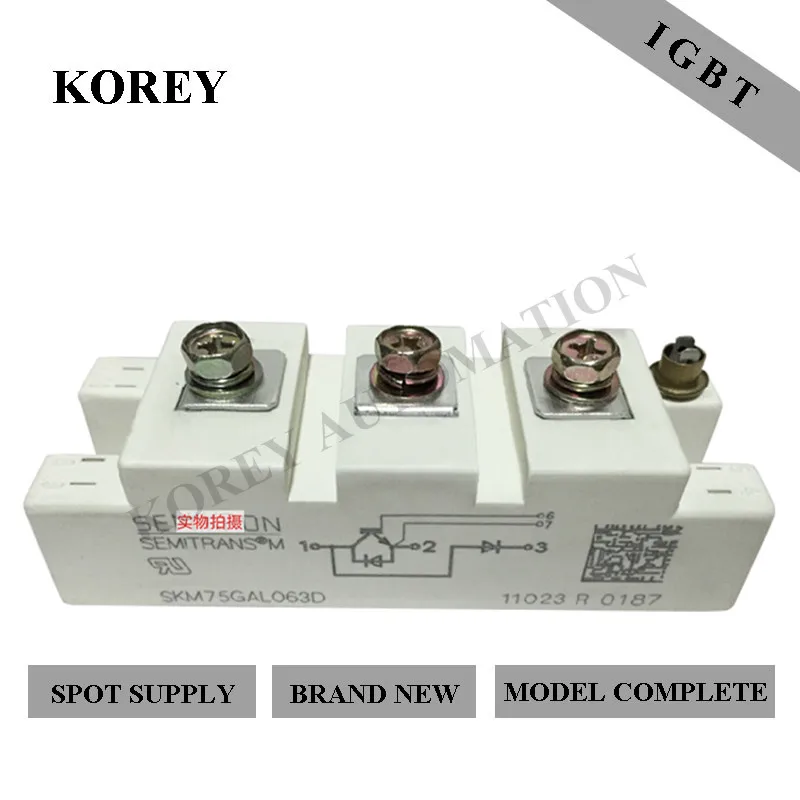 

Semikron IGBT Module SKM50GAL124D SKM75GAL124D SKM100GAL124D SKM145GAL124D SKM150GAL124D SKM195GAL124D