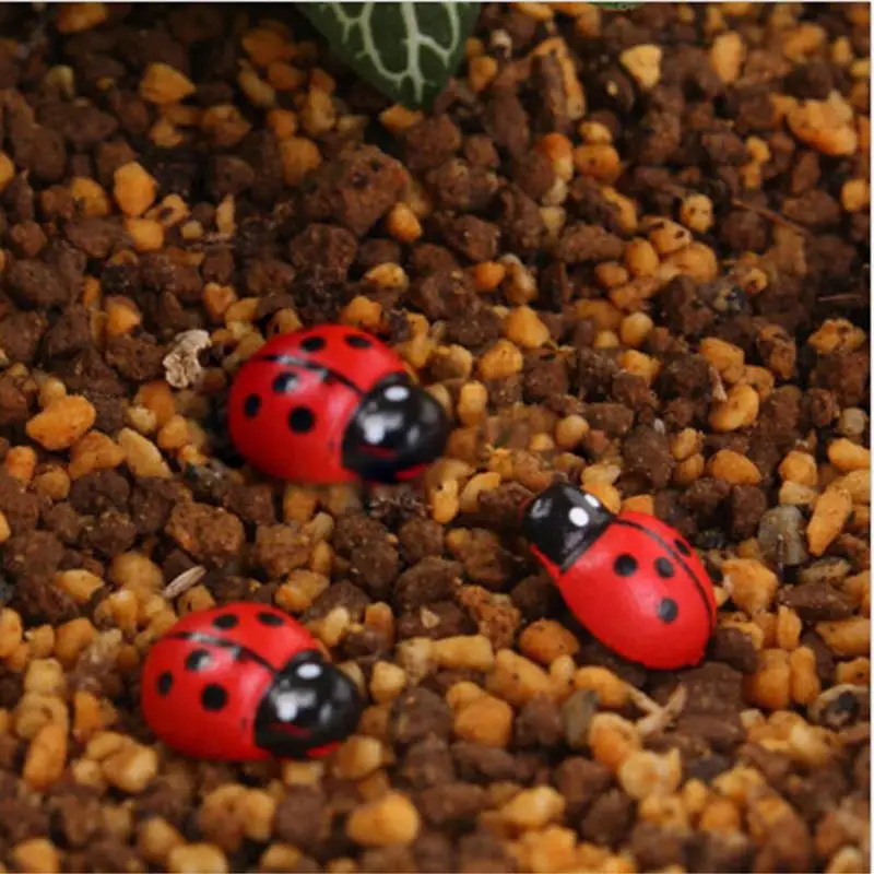 

Mini Landscape Garden Decor 10Pcs Miniature Decorations Coccinella Septempunctata Resin Crafts DIY Little Animal Figurines