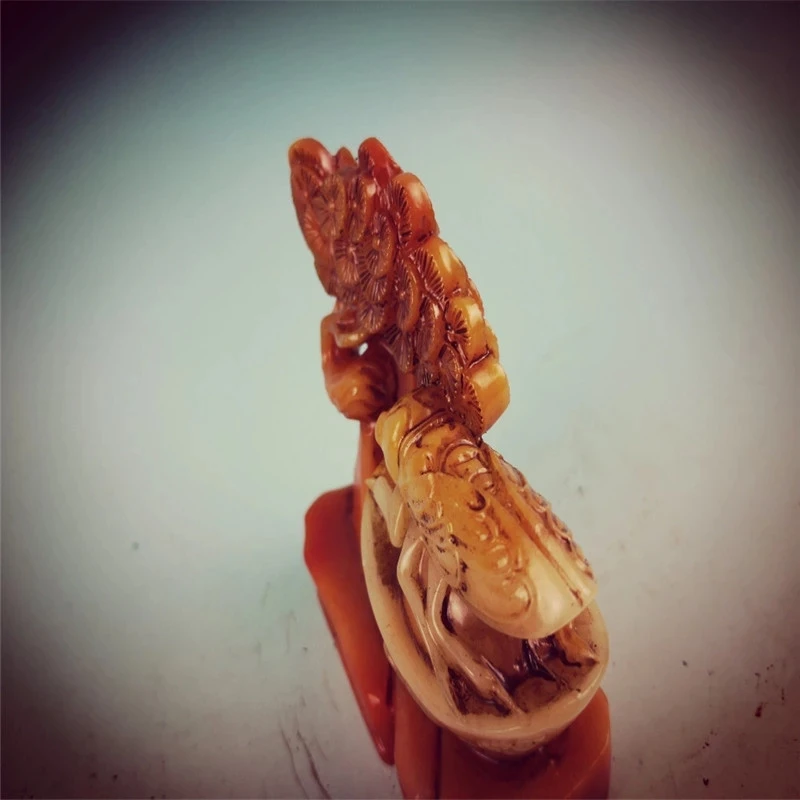 Фотографическая статуя Цикада ручной работы