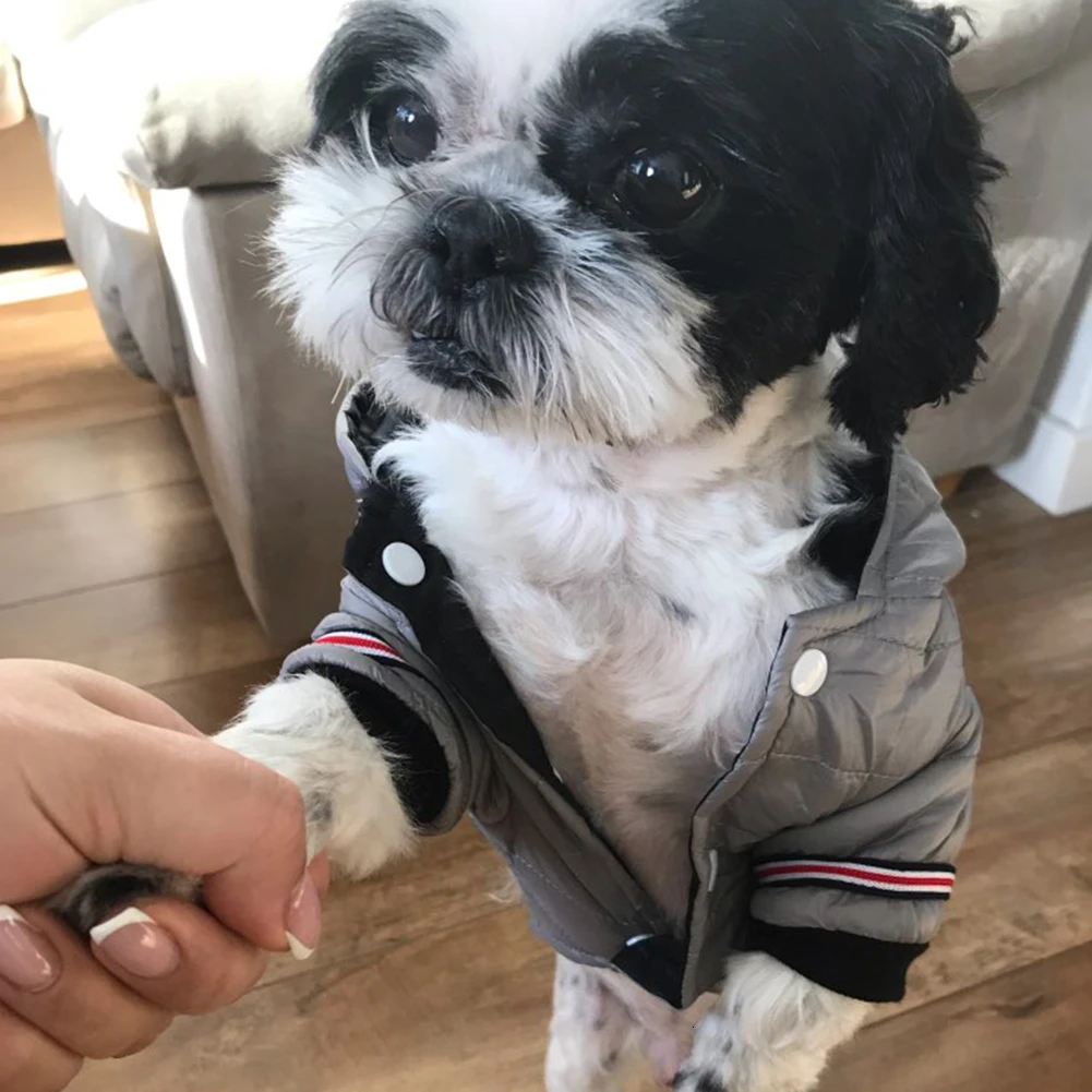 Одежда для собак зимние теплые куртки щенков чихуахуа одежда толстовки