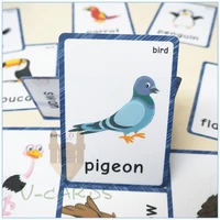 13pcs memory game birds word cards flash cards for children english teacher teaching aids montessori learning educational toys