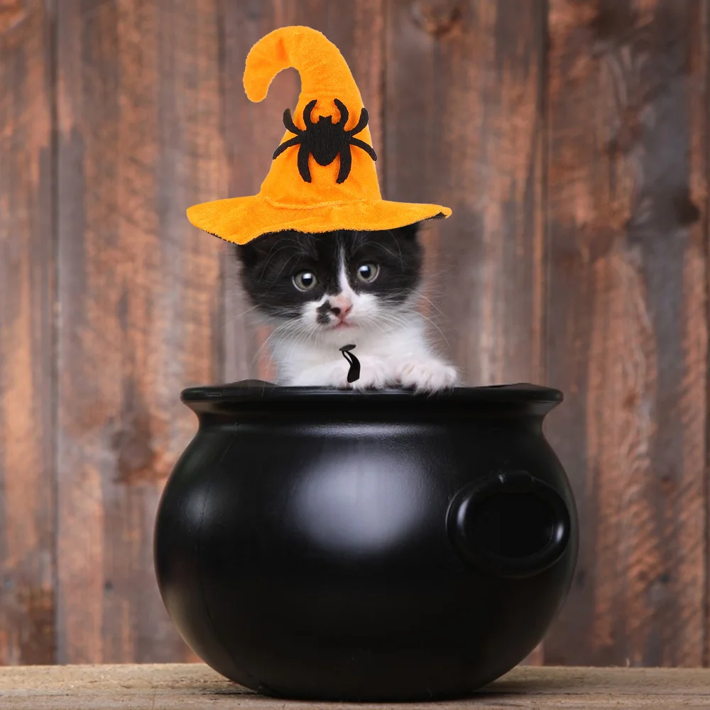 1 шт. изящная шляпа для кошек красивый головной убор домашних животных|Кепки