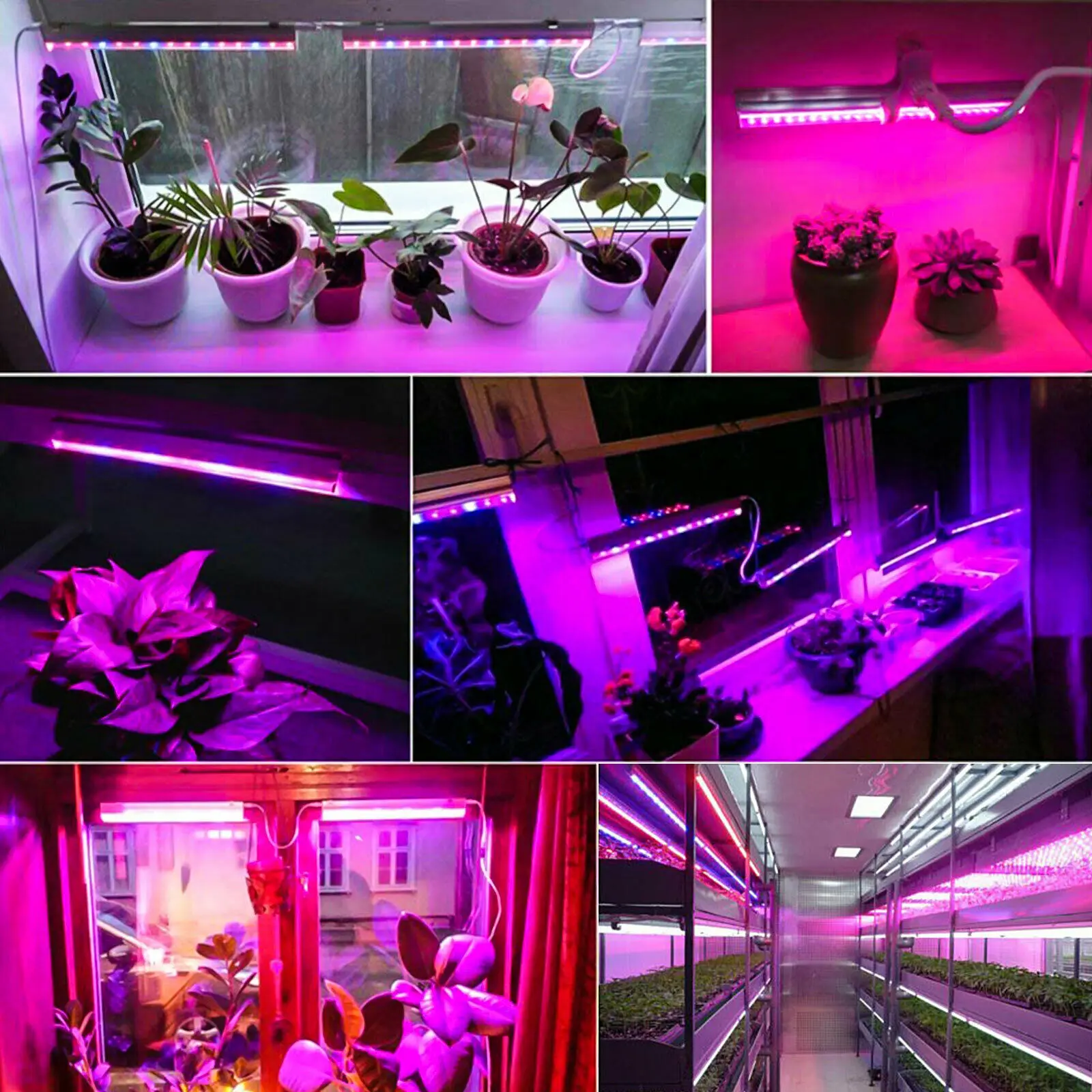 Какой свет нужен дома. Фитолампа led grow Light. Фитолампа f4054. Фитолампа Гелиос-15. Фитолампа для растений 60w led.