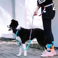 slip nylon dog collar and leash set for running training designer strong choke dog collars and leads pet leashes elastic walking