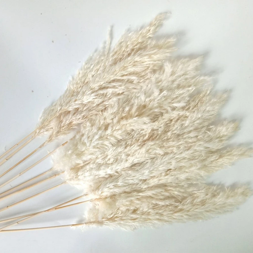 

60CM Fluffy Pampas Grass Decor Large Natural Dried Flowers Bouquet Home Decor Fleurs Sechees Wedding Decoration Artificial Plant