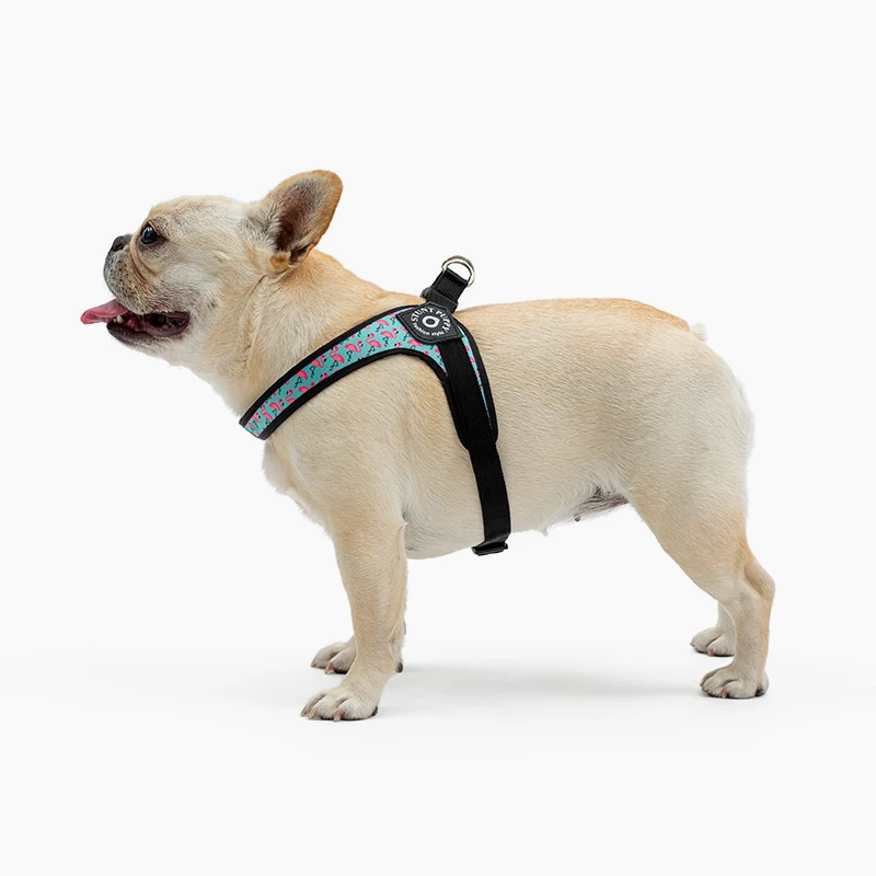 Stunt Puppy Простая Классическая шлейка для больших собак и щенков Модная стильная