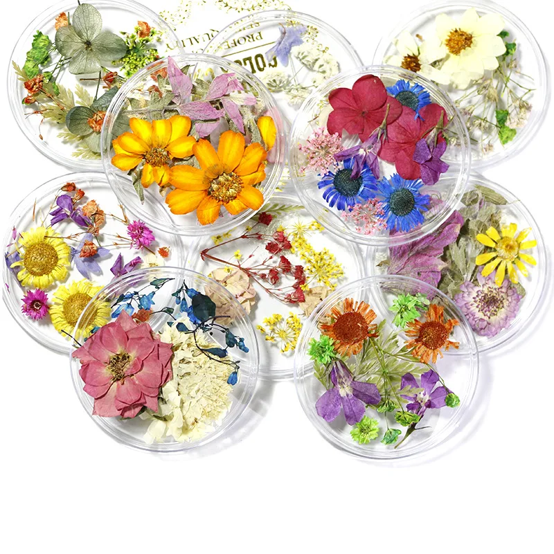 

10pcs/jar Dried Flowers Nail Art Decorations Colorful Natural Dry Flower 3d Beauty Real Floral Stickers UV Gel Manicure Decals