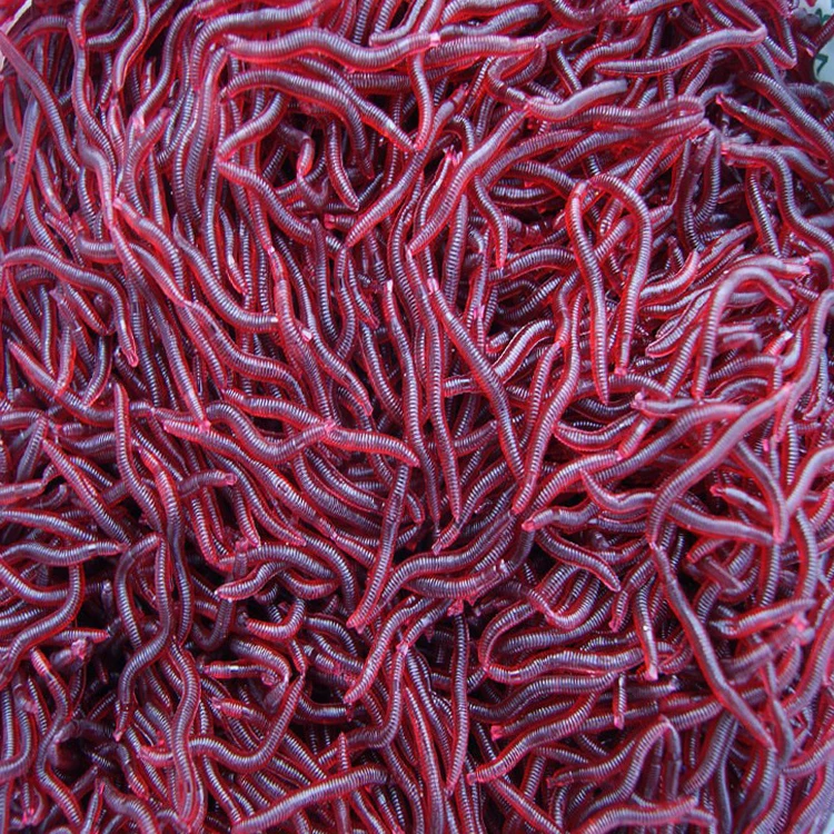 YOUGLE 50pcs/lot Fish Soft Earthworm Earth Worm Silicone Fishing Bait Lure Tackle 1.5 inch 0.01oz | Спорт и развлечения